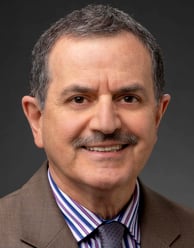 Hamed Sajjadi image